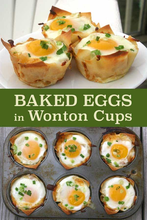 Baked Eggs in Wonton Cups Diabetes Strong