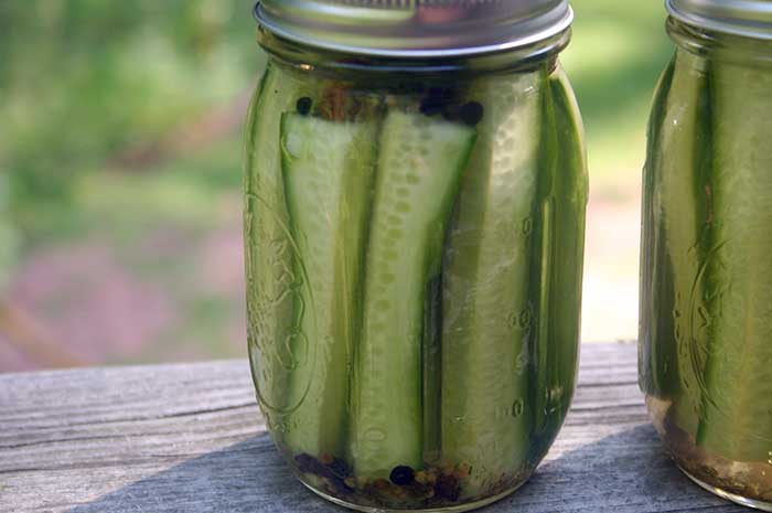 Homemade Dill Pickles in a glass jar