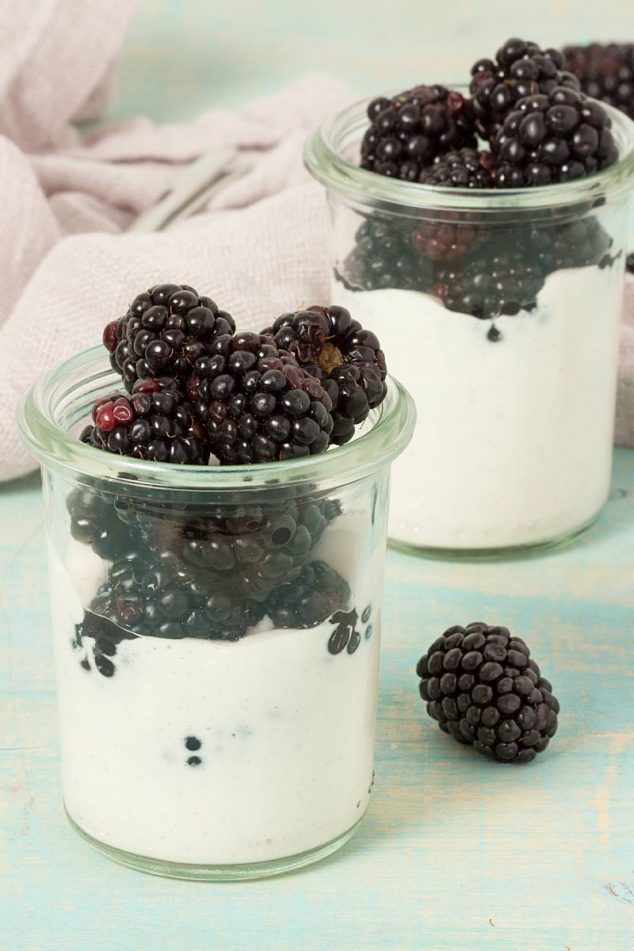 Sugarfree Cottage Cheese Parfait with Berries Diabetes Strong