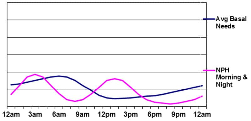 Basal insulin supplied by NPH in the morning and evening