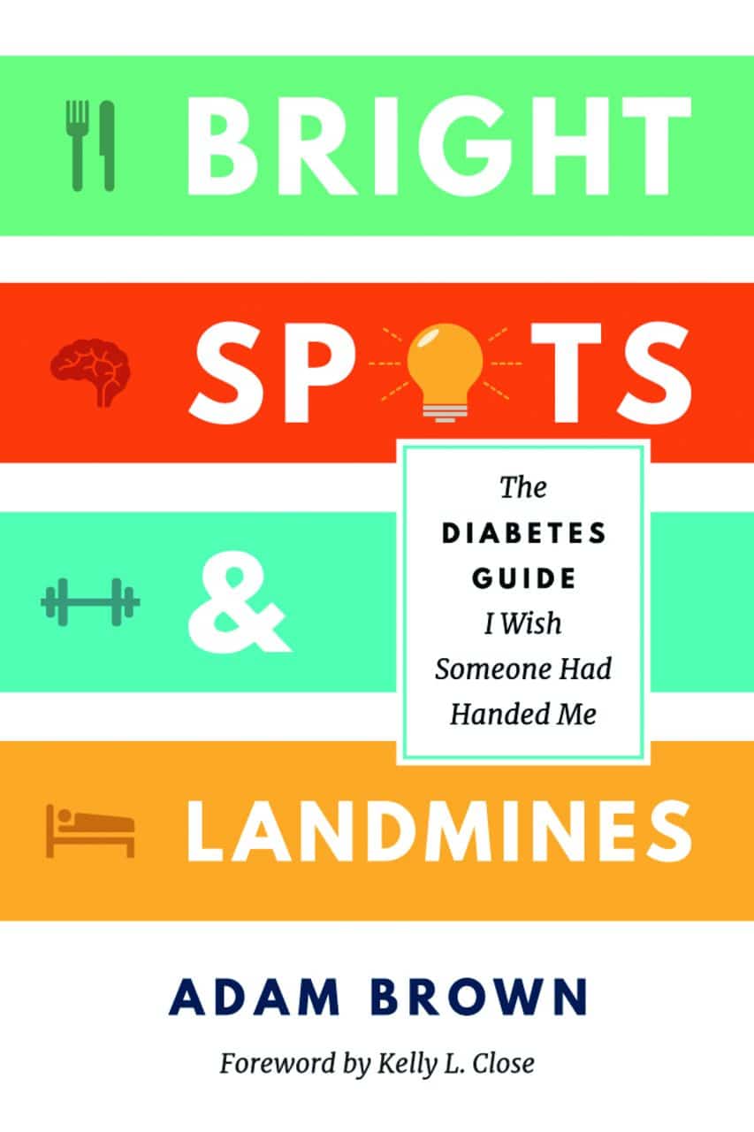 Cover of Bright Spots & Landmines