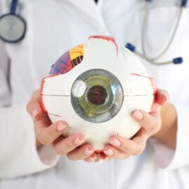 Doctor holding model of an eyeball