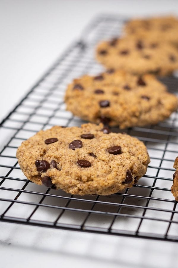 Sugar-Free Chocolate Chip Cookies (Low-Carb) - Diabetes Strong