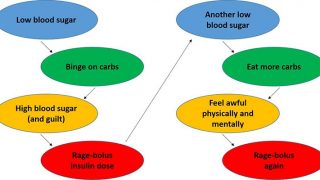Does Sugar Elevate Blood Pressure