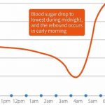 What is the Somogyi Effect (the Blood Sugar Rebound Effect)?