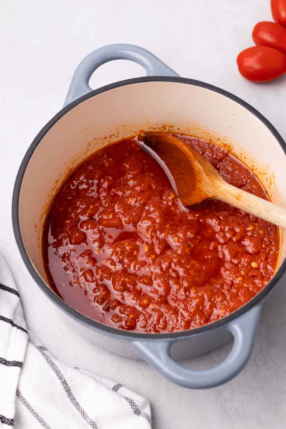 tomato sauce in pot with spoon 
