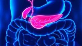 Can a Pancreas Transplant Cure Your Diabetes?