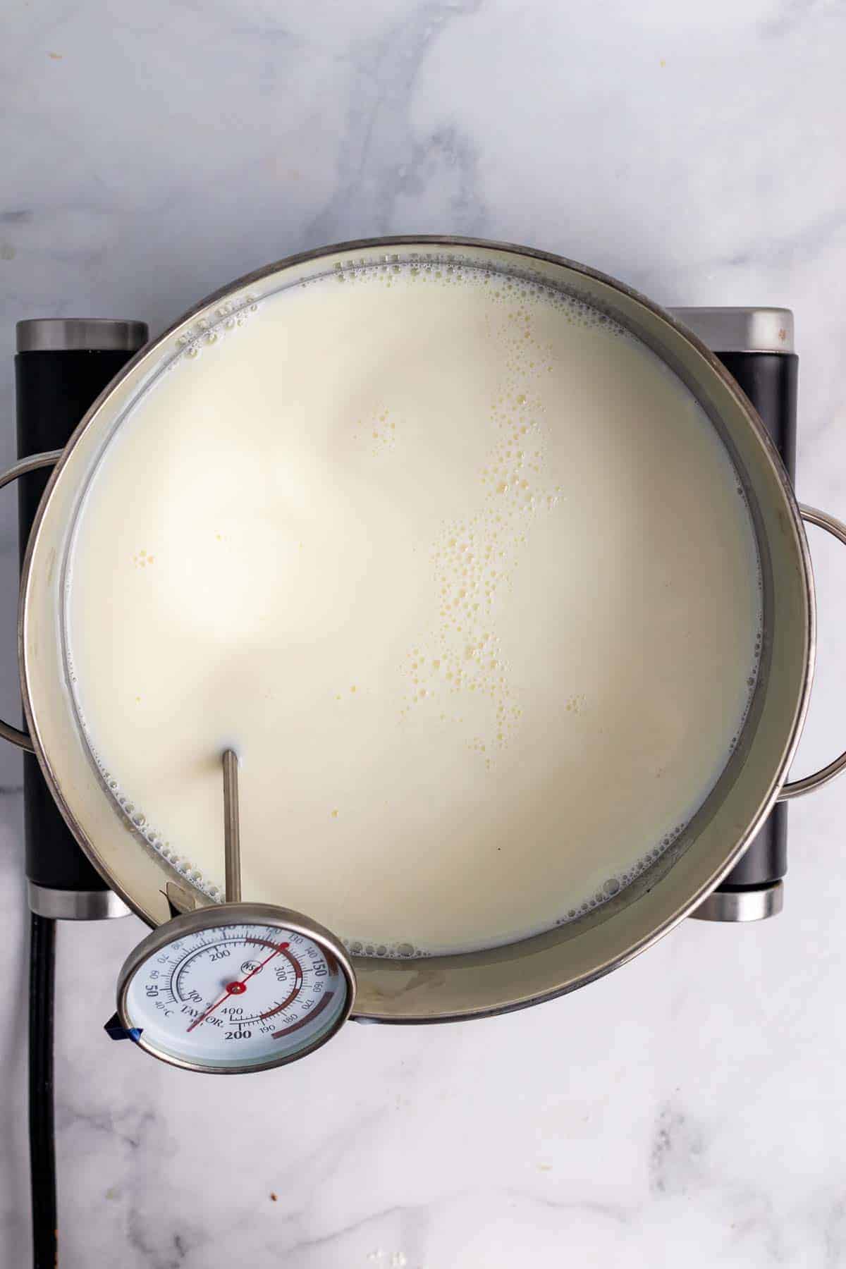 Milk and buttermilk in pot with thermometer