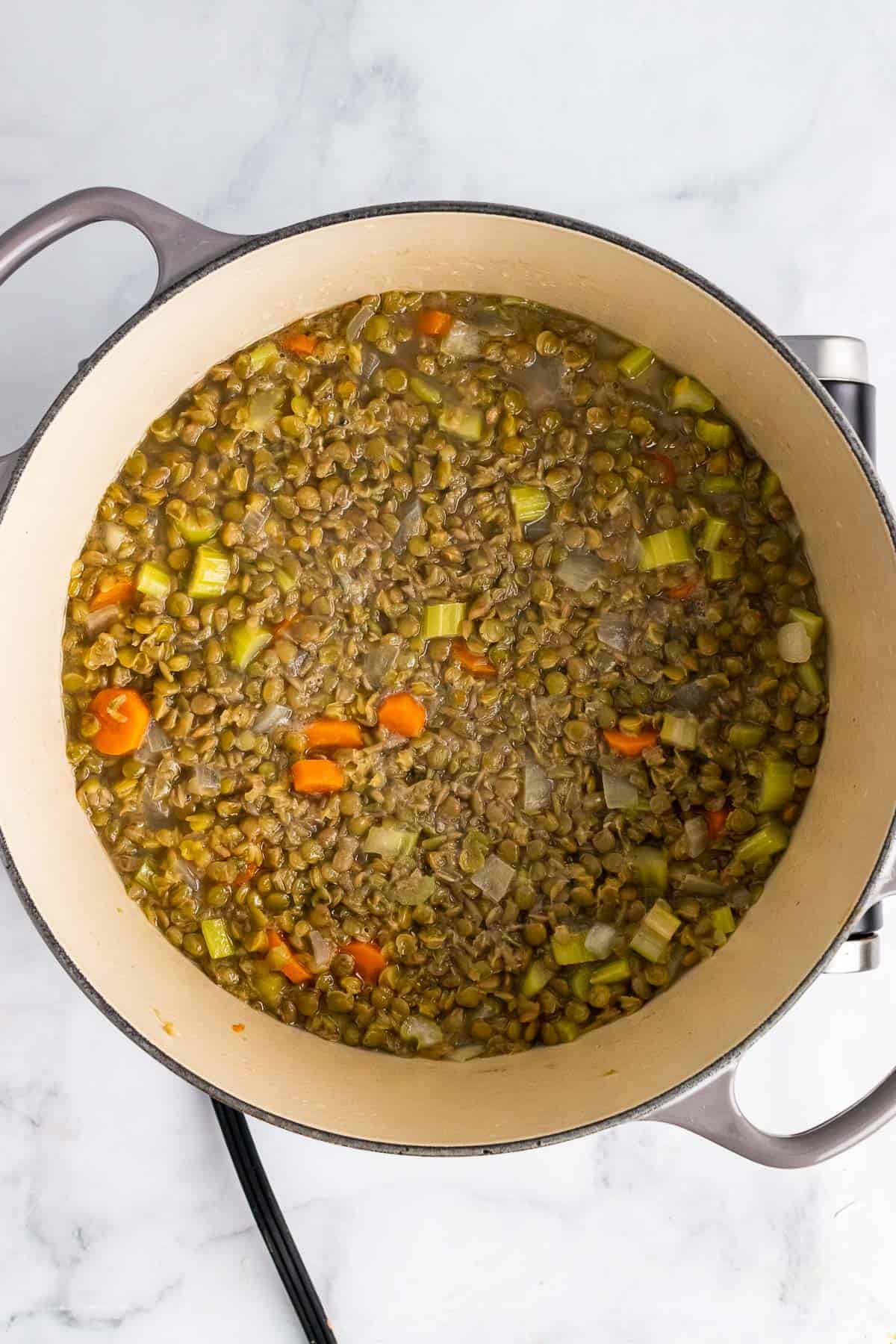 Turkey stock, lentils, onions, celery, and carrots simmering in a pot