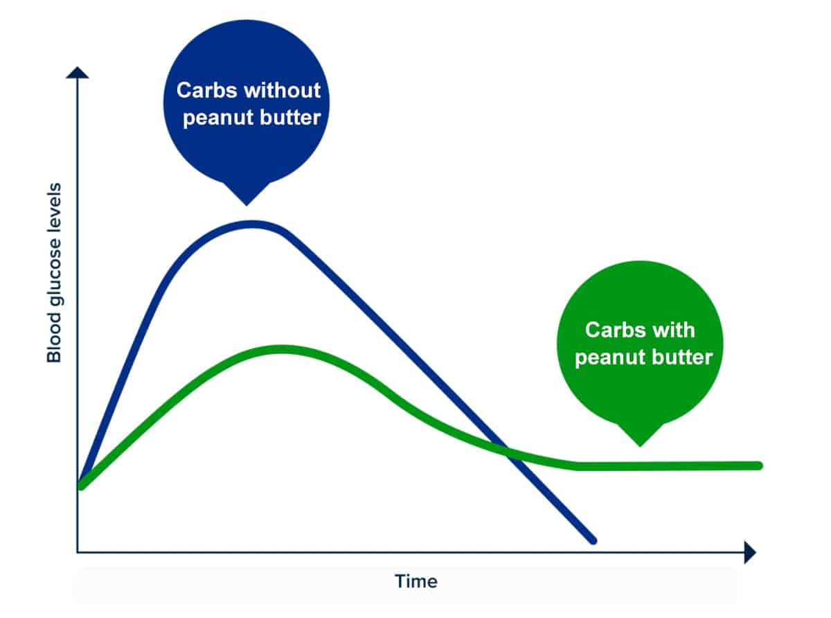 Graph of how peanut butter changes the absorption of carbohydrates.