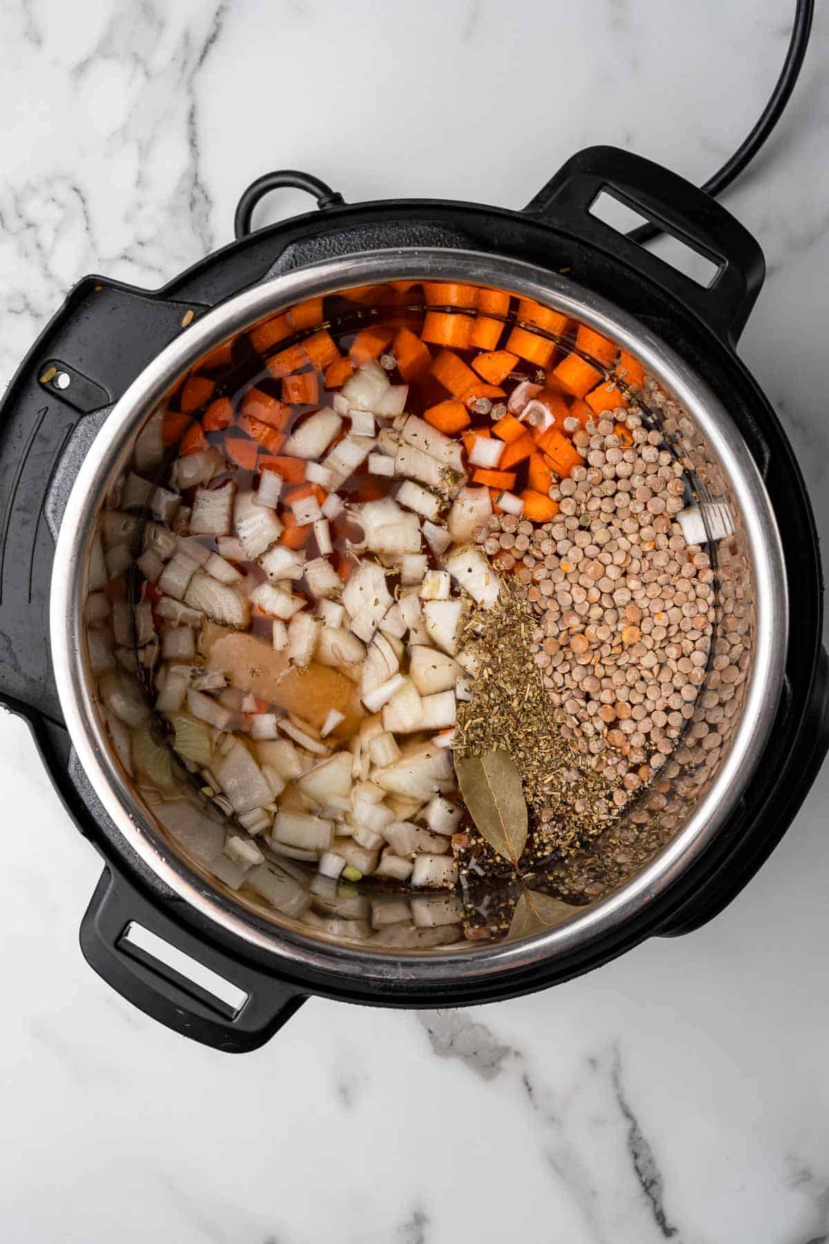 ingredients for the soup in an instant pot