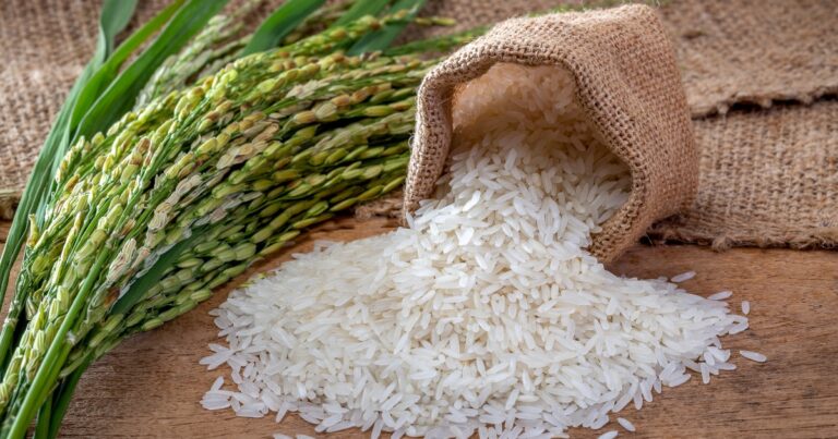 Low-Carb Alternatives to White Rice - Diabetes Strong